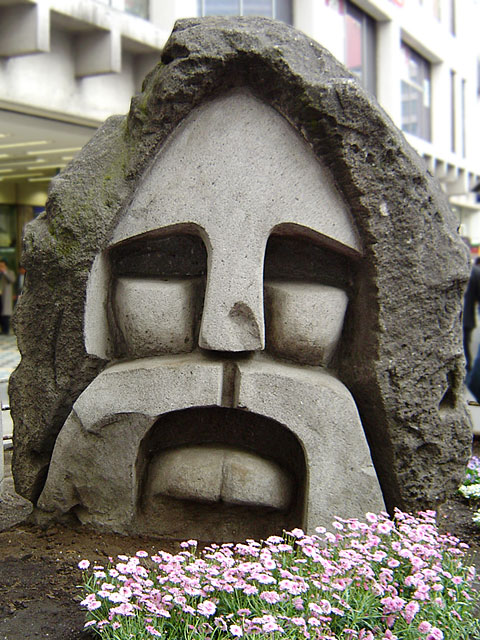 �a�J�@���𑜓x�ʐ^�f��