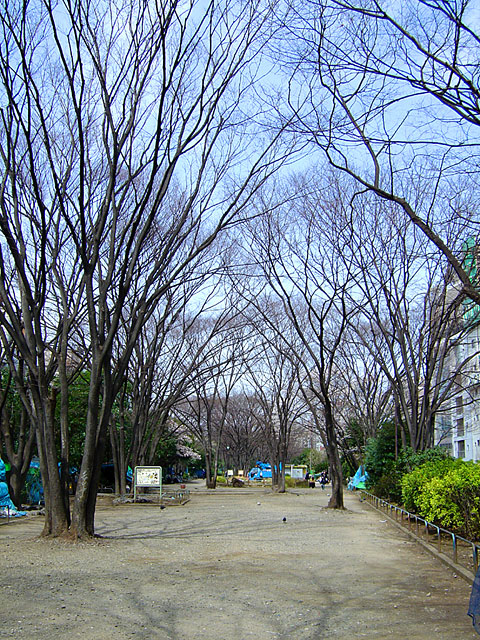 �a�J�@���𑜓x�ʐ^�f��