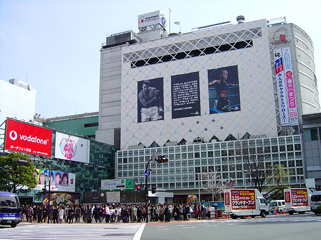 �a�J�@���𑜓x�ʐ^�f��