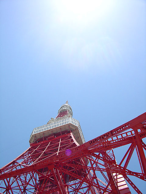 �����^���[�ʐ^�f��