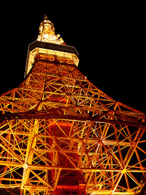 �����^���[�ʐ^�f��