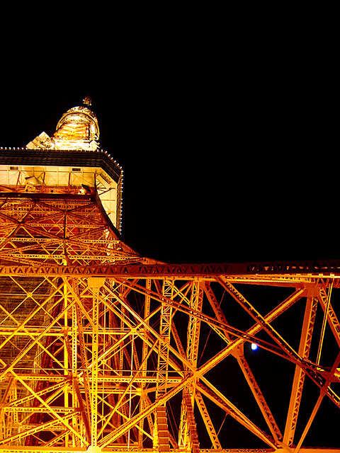 �����^���[�ʐ^�f��