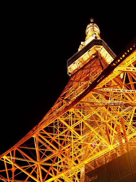 �����^���[�ʐ^�f��