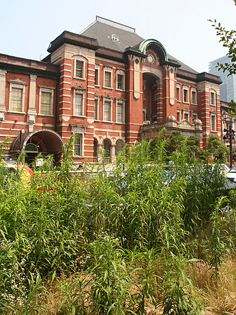 �ʐ^�f�ށ@�����w