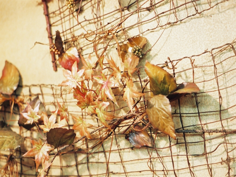 �N���b�N�ŕ���@�i�ǎ��ʐ^�j